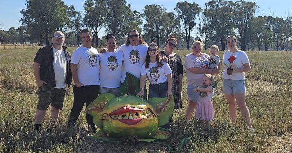 Little Shop of Horrors blooms in Temora as local theatre group brings classic musical to life