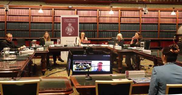 Messy men, ‘unsafe’ women, shorter waits: All-gender loos debated at NSW inquiry