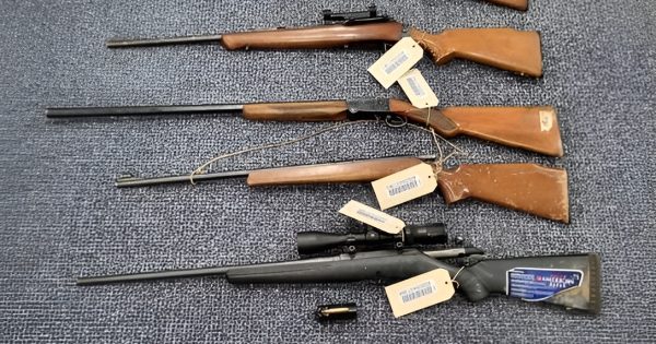 20 firearms and 11 hunting knives seized in southern Riverina police operation over Easter
