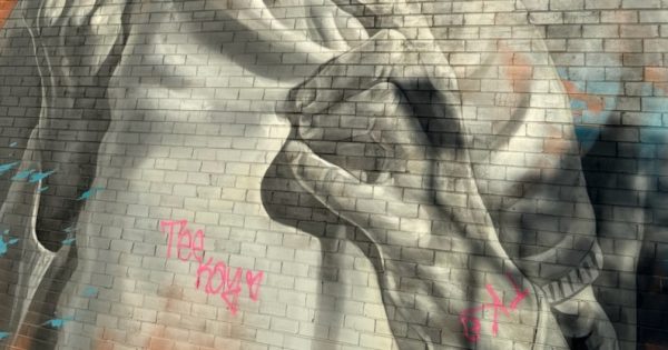 $5000 reward offered for information after vandals deface artists' murals