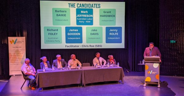 Foley highlights Sportsbet odds to urge vote for a minor party at Wagga election debate