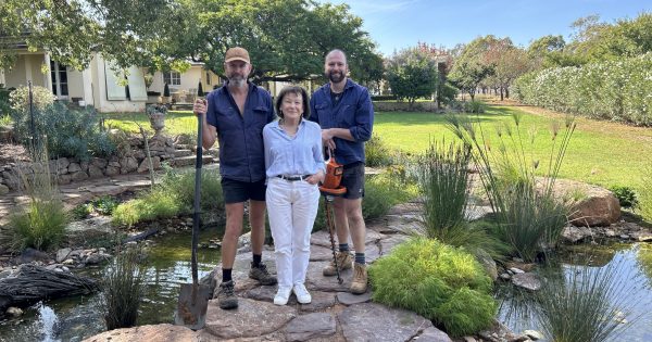 Classic cars and rock 'n' roll to feature in a unique open garden event at The Elms farm in outback Walla Walla