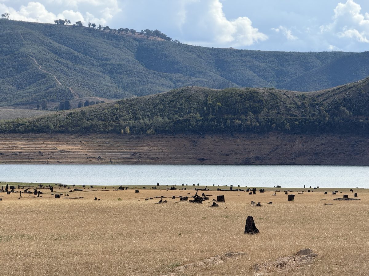 Landscape previously underwater has been revealed by the falling water levels at Blowering Dam. Picture: Marguerite McKinnon