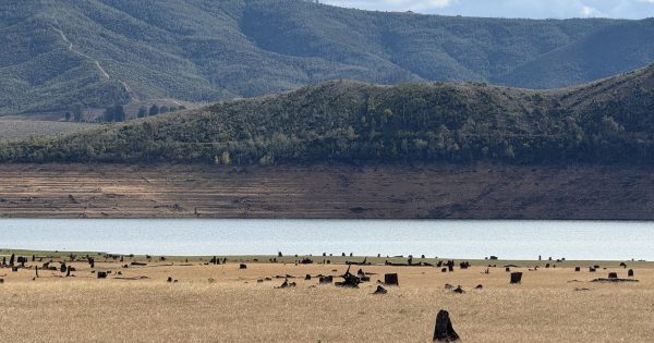 Where's the dam water gone? Riverina levels diving compared to the rest of NSW