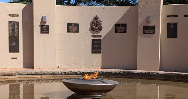 Wagga Council defers acceptance of eternal flame restoration grant