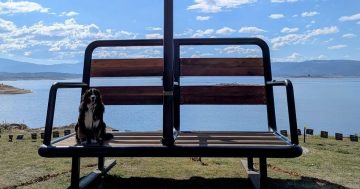 Chairlift to remain as local artist's sculpture becomes Jindabyne’s new cultural icon
