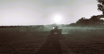 Drought crisis escalates across southern NSW as seasonal outlook offers little relief