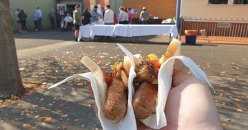 An ode to the democracy sausage - the only winner on election day