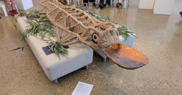 First Nations artists combine incredible weaving skills to create 'beautiful' two-metre platypus