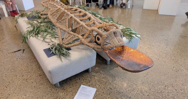Artists combine incredible weaving skills to create 'beautiful' two-metre platypus