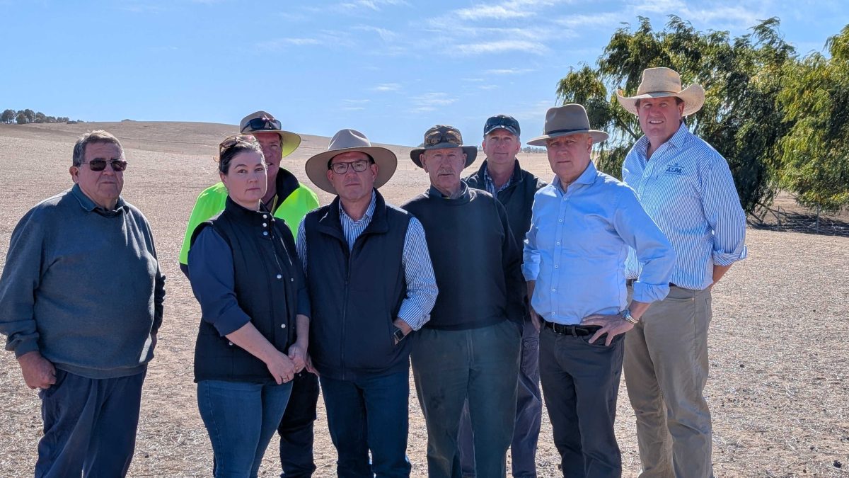 Riverina farmers, Nationals MPs, and the Australian Livestock and Property Agents Association are all calling for more aid to be delivered to the drought-affected farmers in the state's south.