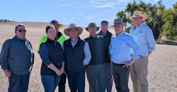 'How dare government say we can only collect 10 per cent of rainfall': Riverina farmers call for action on drought threats