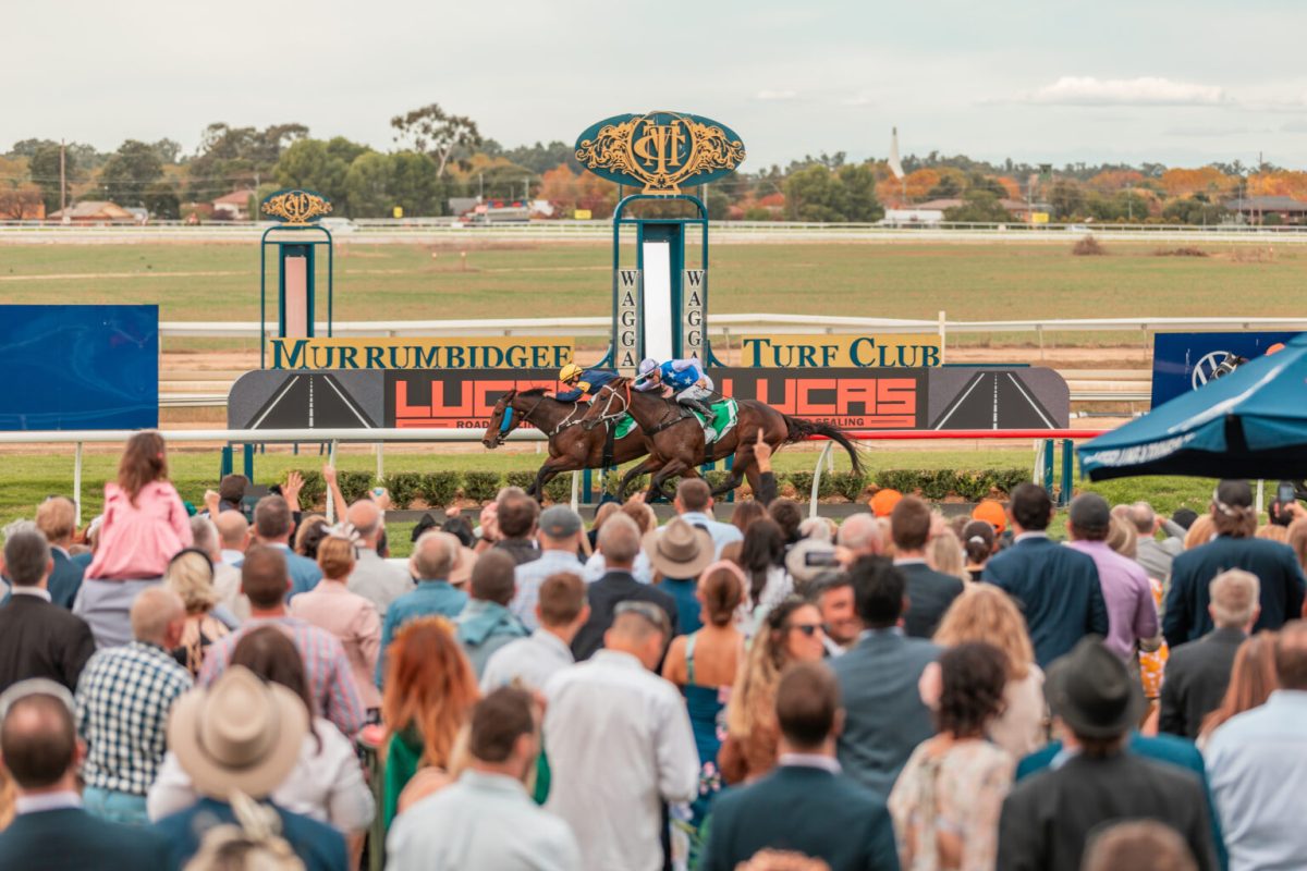 wagga gold cup day