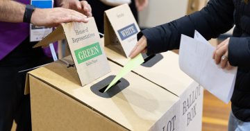 Missing ballot papers put a dent in AEC's otherwise smooth election