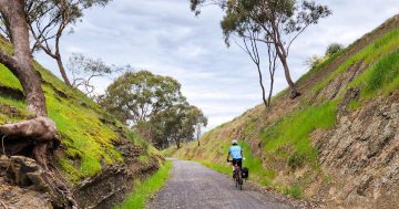 Wagga to Ladysmith rail trail will not proceed, council urged to 'stop building assets it cannot afford'
