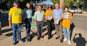 McCormack and Ley set to win Riverina and Farrer as One Nation makes gains