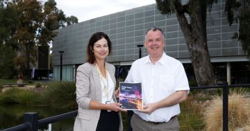 What should Wagga Council fix next? Community Asset Plan requests region's input
