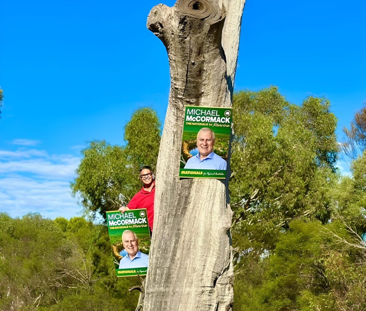 a man taking down election signs from a tree