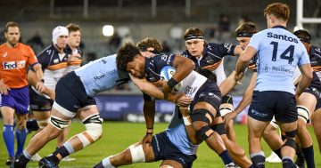 Is this the year the Brumbies' premiership 'window of opportunity' opens?