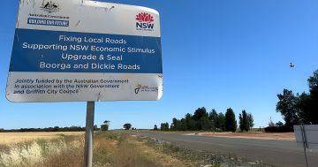 Trio force young driver into back seat in alleged carjacking at Nericon