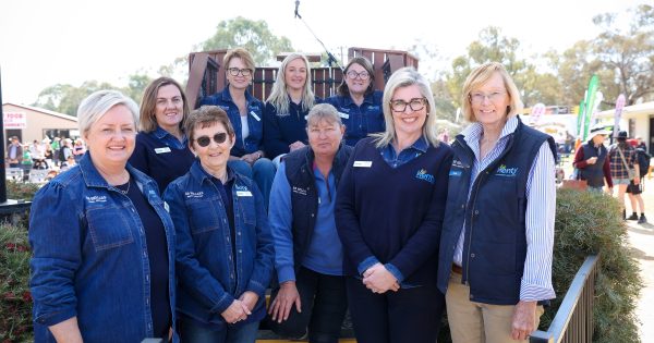 Rain, rain come and stay as Henty field days chief reports 'strongest bookings to date' for 2025