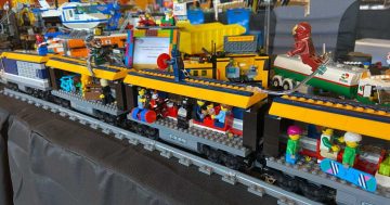 Build it and they will come: Wagga set to get its very own LEGO exhibition