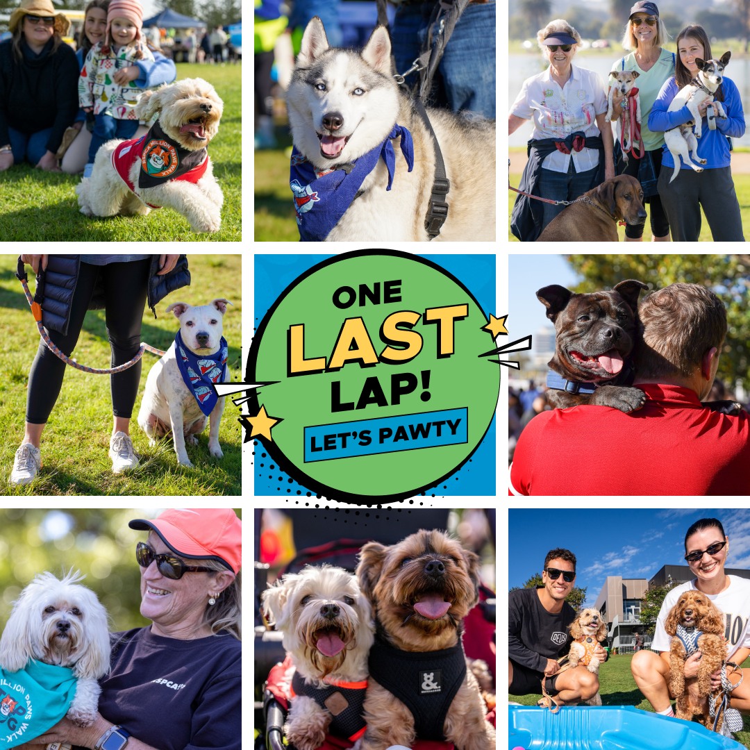 Photo grid of people with dogs