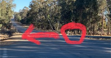 'Accident waiting to happen': Coolamon parents concerned about 100 km/h speed limit on road with no bus stops for schoolkids