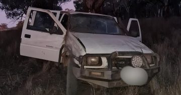 Illegal hunters crashed ute before robbing Good Samaritan, police allege