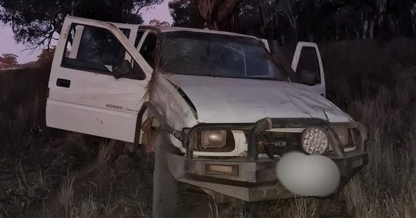 Illegal hunters crashed ute before robbing Good Samaritan, police allege