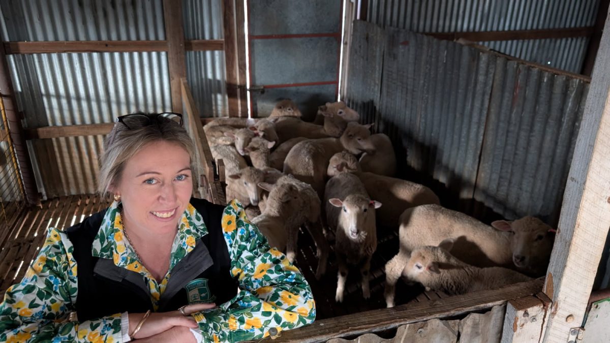 Holly Moore's classes are designed to give her students a chance to handle smaller animals.