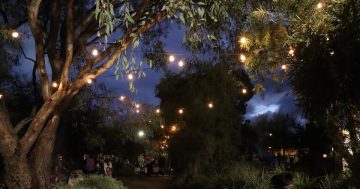 Things to do in the Riverina this week (20 – 26 June)