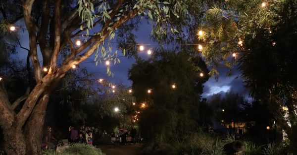 Things to do in the Riverina this week (20 – 26 June)