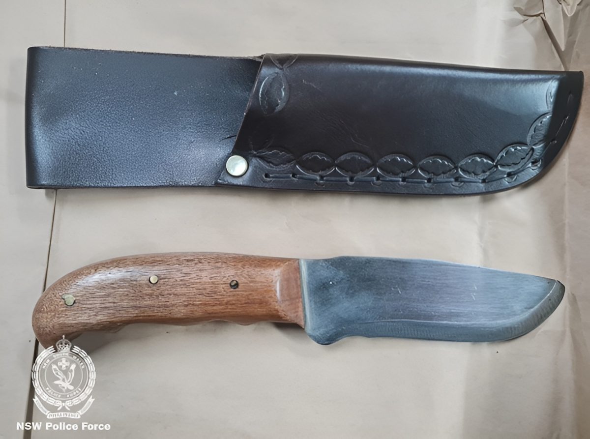a knife and a sheath
