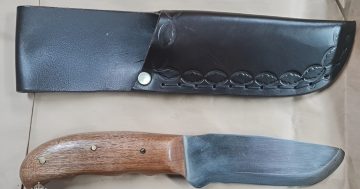 Police seize four weapons in metal detector 'wands' blitz in Albury CBD