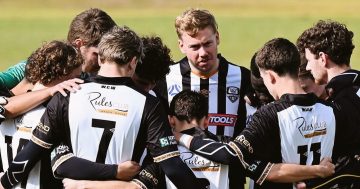 Wagga City Wanderers pushing to have all their teams stay in Canberra football league despite board recommendation