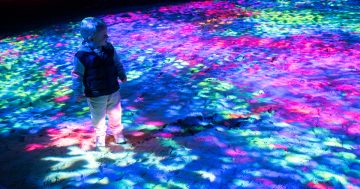 Journey beneath the waves when Aurora light show returns to Albury Botanic Gardens