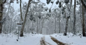 Snow season gets off to the best start in years