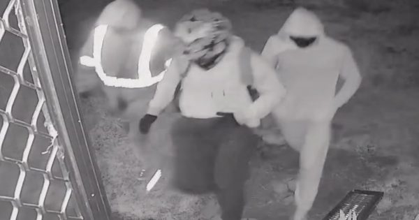 WATCH: Gun-wielding intruders sought over alleged Tumut home invasions