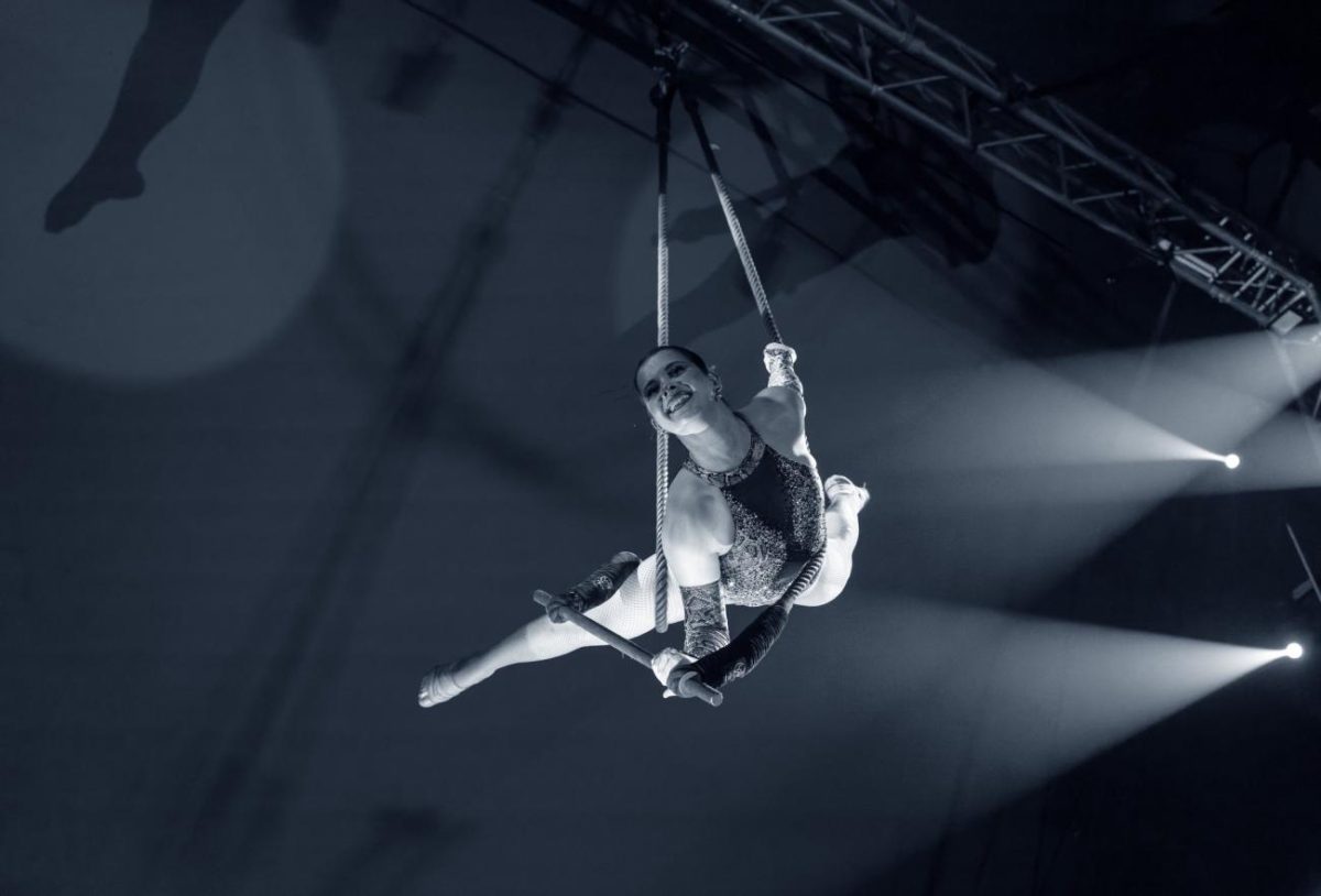 The Harrington Circus Show at Narrandera Showground