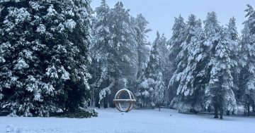 Snowy Valleys Sculpture Trail launches winter photography competition