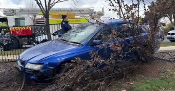Man allegedly tests positive to methylamphetamine after crash at Wagga primary school