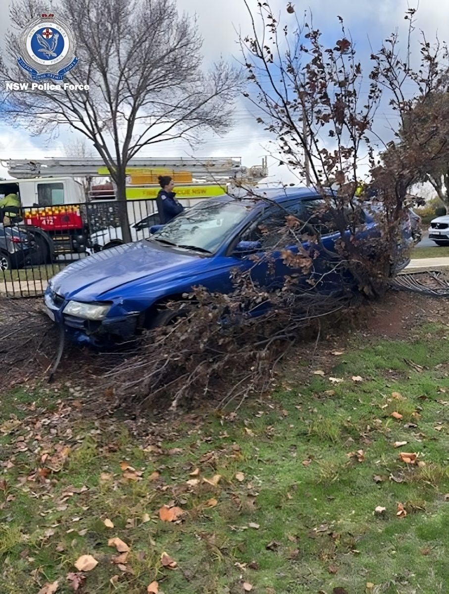 Car crash into tree