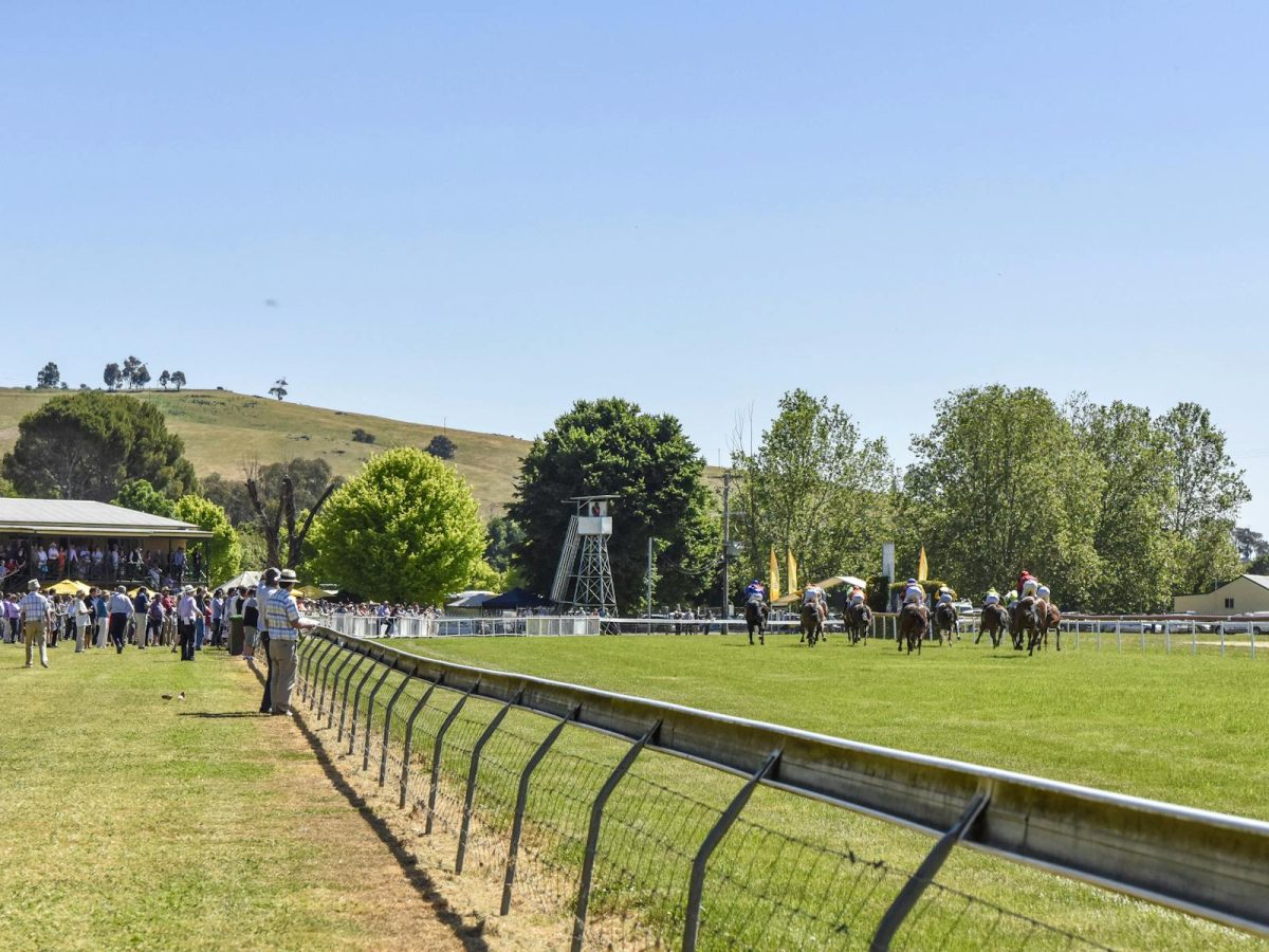 Gundagai Adelong Racing Club - Sky1 Race day