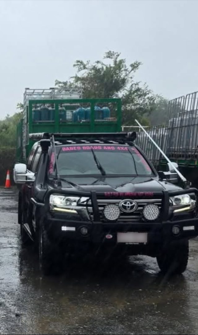 Did you seen this car on the Newell Highway between Jerilderie and Finley in the early hours of Monday 16 June?