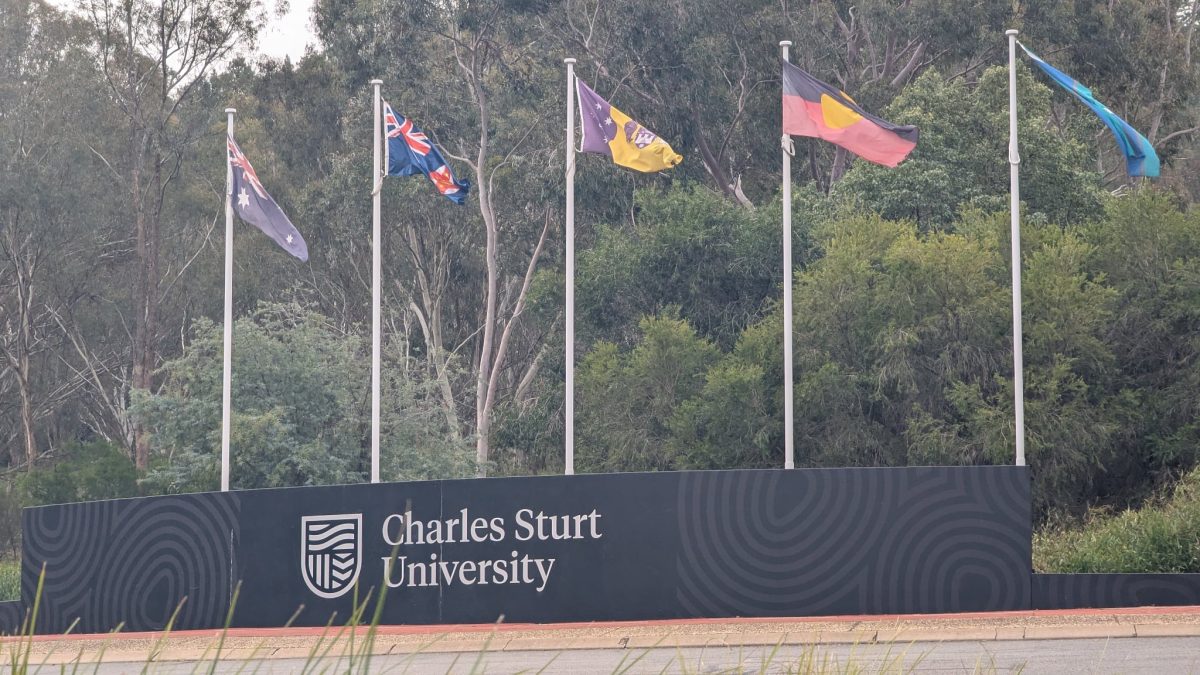 flags and a university sign