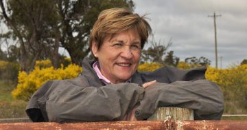 Dalton doubles down on push for gambling companies to return 'proceeds of crime'