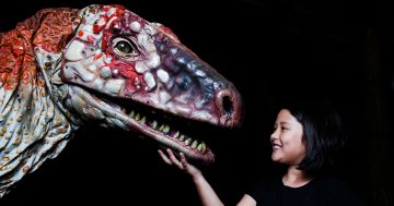 Things to do in the Riverina this week (11 – 17 July)