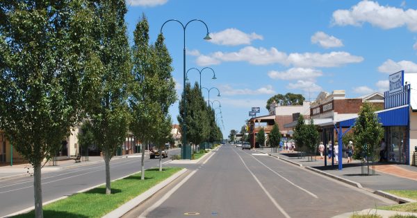 Man accused of Hillston shooting and beating bull terrier with metal pipe