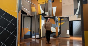 Wagga Art Gallery to offer art lovers four vastly different experiences